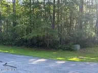 902 113 River Reach Court, New Bern, NC 28560 — lot in Fairfield Harbour, New Bern, NC, photo 3 of 25: IMG_0869