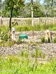 280 Donnie Davis Road, Williston, NC 28589 — waterfront lot in William C. Alston, Williston, NC, photo 8 of 21: 4 bedroom septic installed