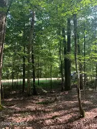 54 54 Palomino Road, Carthage, NC 28327 — lot in Carolina Equest, Carthage, NC, photo 18 of 20: IMG_6266