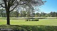 1731 Caracara Drive, New Bern, NC 28560 — lot in Fairfield Harbour, New Bern, NC, photo 6 of 10: NATURE AREA