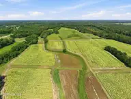 0 N Carolina 43, Macclesfield, NC 27852 — lot, Macclesfield, NC, photo 10 of 11: 9-web-or-mls-DJI_20260817130908_0074_D-e