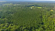 Off Pats Road, Vass, NC 28394 — lot, Vass, NC, photo 23 of 27: 11-web-or-mls-DJI_20240918122644_0601_D