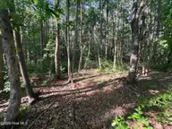 0 Tract 1 Nc 30, Stokes, NC 27884 — lot, Stokes, NC, photo 10 of 17: IMG_6009