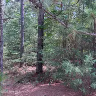 109 405 Haddington Drive, Pinehurst, NC 28374 — lot in Forest Creek, Pinehurst, NC, photo 10 of 12: IMG_5390