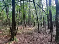 0 Tract 1 Nc 30, Stokes, NC 27884 — lot, Stokes, NC, photo 11 of 17: IMG_6011