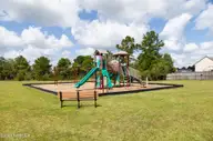 5100 Roundhead Drive Lot 111, Leland, NC 28451 — 4-bedroom home in Grayson Park, Leland, NC, photo 17 of 22: Grayson Park playground