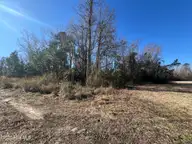 383 Ocean Highway E, Supply, NC 28462 — lot, Supply, NC, photo 1 of 6: IMG_3562