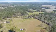 2222 John Henry Store Road, Currie, NC 28435 — 3-bedroom home, Currie, NC, photo 17 of 48: 49_drone