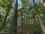 470 Acres Lane NW, Calabash, NC 28467 — lot in Hickmans Crossing, Calabash, NC, photo 12 of 19: IMG_1635