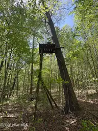7818-1 McGregor Road, Nashville, NC 27856 — lot, Nashville, NC, photo 5 of 13: IMG_2435