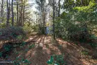 24324 Us Highway 17, Hampstead, NC 28443 — lot, Hampstead, NC, photo 5 of 19: ground-03