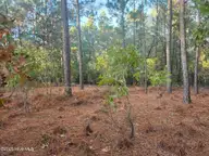 4 Brassie Circle, Jackson Springs, NC 27281 — lot in Foxfire Village East, Jackson Springs, NC, photo 1 of 25: IMG_20251020_190956