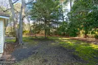 175 Cedar Lane, Newport, NC 28570 — 3-bedroom home in Gull Harbor, Newport, NC, photo 18 of 30: backyard 2 trees