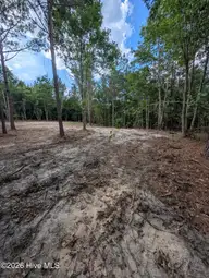 Tbd 2R-3 Peyton Drive, Eagle Springs, NC 27242 — lot, Eagle Springs, NC, photo 10 of 11: PXL_20260707_210806676