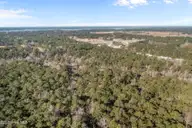 1730 Nc-58, Peletier, NC 28584 — lot, Peletier, NC, photo 9 of 21: 3-web-or-mls-DJI_0396