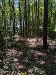 Lot 1 Dan Road, Robbins, NC 27325 — lot, Robbins, NC, photo 7 of 20