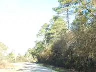 7600 61 Plantation Road, Wilmington, NC 28411 — lot in Greenview Ranches, Wilmington, NC, photo 5 of 17: 7600 Plantation Rd (16)