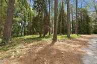 55 Apawamis Circle, Pinehurst, NC 28374 — waterfront lot in CCNC, Pinehurst, NC, photo 3 of 19: 12-web-or-mls-DSC04858