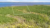 Lot D Bluff Point Road, Elizabeth City, NC 27909 — waterfront lot, Elizabeth City, NC, photo 8 of 8: Bluff_Point_Road_005