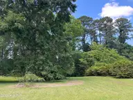 312 Neuse Cliffs Road, New Bern, NC 28560 — 3-bedroom home in Neuse Cliffs, New Bern, NC, photo 5 of 56: IMG_9973