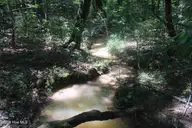 0 Crowatan Trail, Carthage, NC 28327 — lot, Carthage, NC, photo 6 of 18: 06_beyc6a67c33df3925