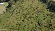 0 Ward Road, Whitakers, NC 27891 — lot, Whitakers, NC, photo 6 of 27: DJI_0502