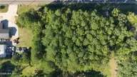 0 N Main North Street, Tarboro, NC 27886 — lot, Tarboro, NC, photo 7 of 17: 7-web-or-mls-DJI_20261006155232_0298_D