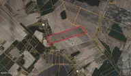 0 Nc 99, Pantego, NC 27860 — lot, Pantego, NC, photo 10 of 13: Screenshot 2026-02-20 at 1.41.19PM