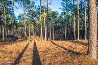 145 4 Pixie Moss Lane, Southern Pines, NC 28387 — lot in Horse Country, Southern Pines, NC, photo 2 of 3: Screen Shot 2023-04-01 at 11.43.49 PM