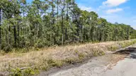 Lot #267 267 Plantation Road, Wilmington, NC 28411 — lot in Greenview Ranches, Wilmington, NC, photo 8 of 15: 3_drone