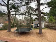 3013 Brassfield Drive, Rocky Mount, NC 27803 — 3-bedroom home in Brassfield, Rocky Mount, NC, photo 17 of 18: Brassfieldback2 - Copy