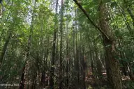 0 Crowatan Trail, Carthage, NC 28327 — lot, Carthage, NC, photo 14 of 18: 14_beyc6a67c3e9d0777