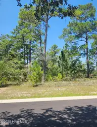 551 35 Glitter Bay Loop, Shallotte, NC 28470 — lot in Solserra, Shallotte, NC, photo 3 of 11