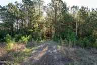 24324 Us Highway 17, Hampstead, NC 28443 — lot, Hampstead, NC, photo 7 of 19: ground-01