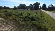 0 Ward Road, Whitakers, NC 27891 — lot, Whitakers, NC, photo 24 of 27: DJI_0520