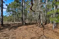 Hubert — lot, Hubert, NC, photo 12 of 12