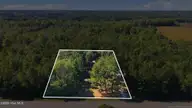 14942 Us 258 S, Fountain, NC 27829 — 3-bedroom home, Fountain, NC, photo 20 of 62: 4-web-or-mls-DJI_20261007135849_0261_D_P