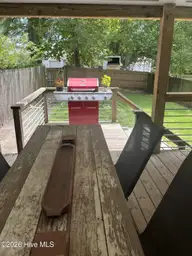 1610 Dock Street, Wilmington, NC 28401 — 3-bedroom home in Downtown, Wilmington, NC, photo 18 of 33: Back Porch 5