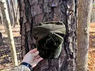0 Nc 98 Highway, Spring Hope, NC 27882 — lot, Spring Hope, NC, photo 13 of 39: 13. Ground Photo Pine Tree - MLS
