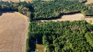 5107 Rainwater Road, Lucama, NC 27851 — lot, Lucama, NC, photo 2 of 2: 01-5107 Rainwater Rd-1