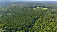 Off Pats Road, Vass, NC 28394 — lot, Vass, NC, photo 24 of 27: 12-web-or-mls-DJI_20240918122654_0602_D