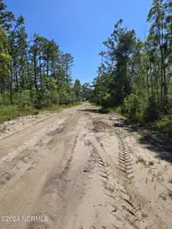 27&28&29 Lakeview Drive, Boiling Spring Lakes, NC 28461 — lot in Boiling Spring Lakes, Boiling Spring Lakes, NC, photo 2 of 3: double lot