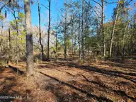 47 Sunset Point Road, Belhaven, NC 27810 — waterfront lot in Smugglers Cove, Belhaven, NC, photo 7 of 11