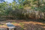 1984 293R Redfish Run SW, Supply, NC 28462 — waterfront lot in Oyster Harbour, Supply, NC, photo 13 of 34: DSC01715