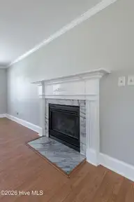 2403 Harness Court, Greenville, NC 27858 — 3-bedroom home in Tucker East, Greenville, NC, photo 14 of 64: Gas fireplace