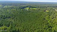 Off Pats Road, Vass, NC 28394 — lot, Vass, NC, photo 22 of 27: 10-web-or-mls-DJI_20240918122631_0600_D