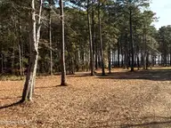 0 Norfleet Shores Road, Belhaven, NC 27810 — waterfront lot, Belhaven, NC, photo 14 of 39: IMG_0814 2