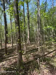 7818-1 McGregor Road, Nashville, NC 27856 — lot, Nashville, NC, photo 6 of 13: IMG_2427
