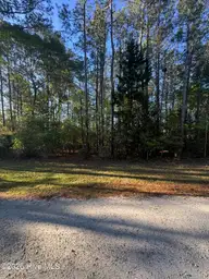 42 42 Pond View Circle E, Hampstead, NC 28443 — lot in Virginia Creek Forest, Hampstead, NC, photo 7 of 9: IMG_7889