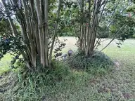 11675 Straight Gate Road, Whitakers, NC 27891 — 3-bedroom manufactured home, Whitakers, NC, photo 5 of 24: dca21261-3a7d-4b46-b7b4-1492819d4da4